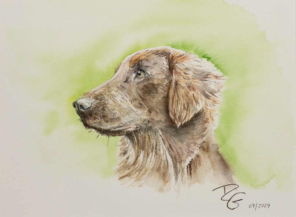 Tiere – Aquarelle